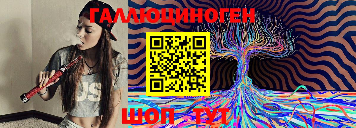 Псилоцибиновые грибы Psilocybine cubensis  Вход с VPN  Кстово 